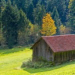 Switzerland: Libin, ECE