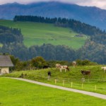 Switzerland: Libin, ECE