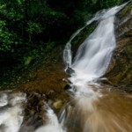 Karnataka: Libin, ECE