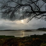 Karnataka: Libin, ECE